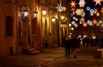 Lublin: Bożonarodzeniowe dekoracje ozdobiły miasto. Zobaczcie!