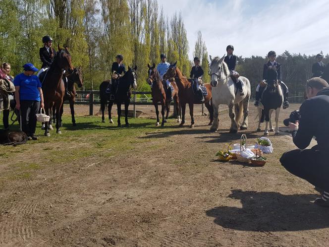 Święcenie pokarmów na koniach