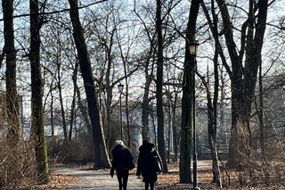 Zabytkowy Park Bronowicki w Lublinie czeka gruntowna rewitalizacja. Koszt? 8 milionów złotych