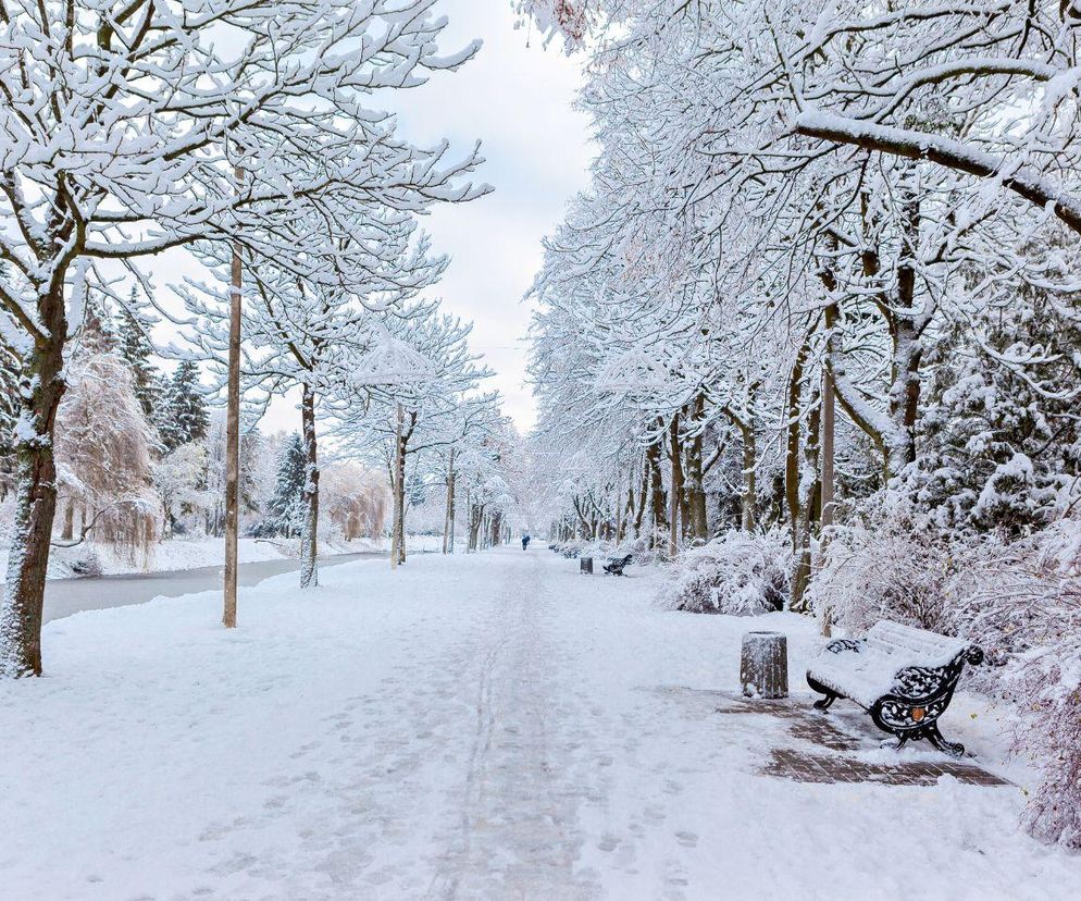 Mocny spadek temperatury. Zima uderzy już na początku lutego! Mroźny start miesiąca 