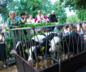 Mikstacka Arka Noego. Błogosławieństwo zwierząt podczas odpustu św. Rocha w Mikstacie