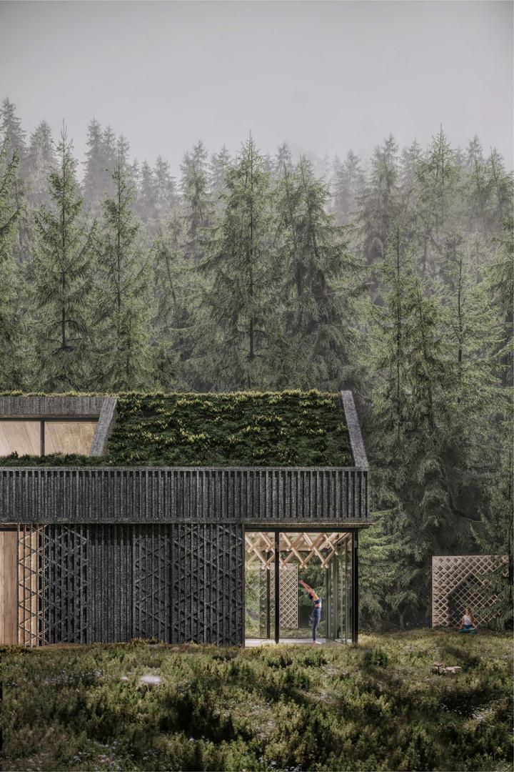 The Austra's Shelter. Wizualizacja elewacji bocznej