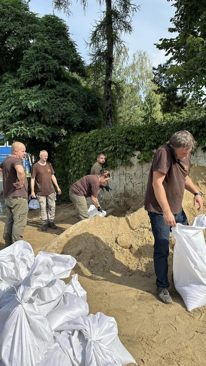 Wrocław. W miejskim ZOO trwają przygotowania do walki z żywiołem