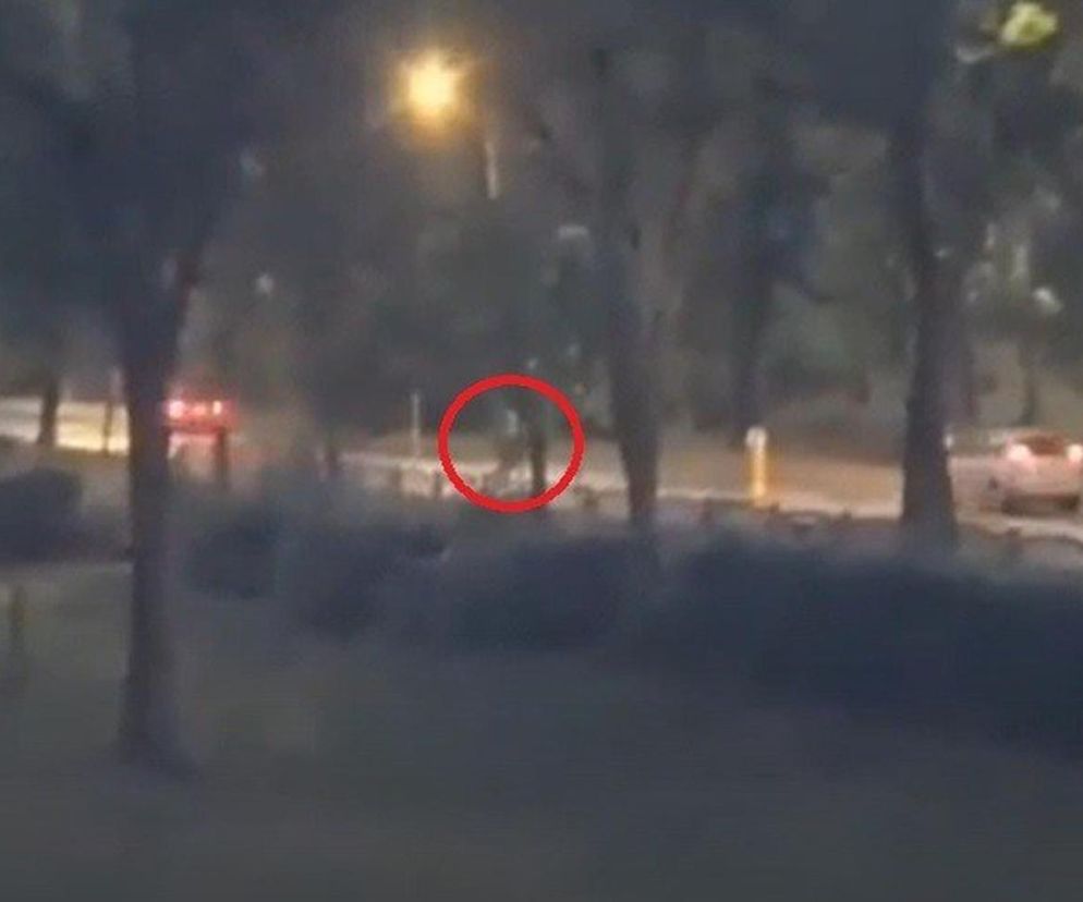 Atak maczetą w Sosnowcu. Policja strzela do napastnika