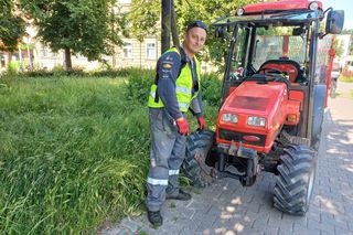 Trawniki w Lesznie wybujały. Koszą prawie codziennie [ZDJĘCIA]
