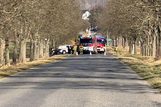 Tragedia na drodze pod Nysą. Samochód wjechał w drzewo. Nie żyją cztery osoby