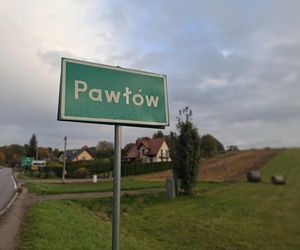 Tragedia w gminie Pawłów. Byk śmiertelnie zaatakował kobietę