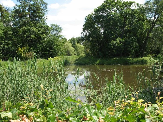 Ten pałac ma ponad 400 lat! Wyjątkowe miejsce na mapie woj. warmińsko-mazurskim