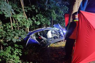 Śmiertelny wypadek pod Kościerzyną! 16- i 18-latek nie żyją [ZDJĘCIA]