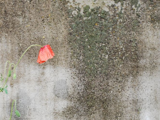 Leczenie depresji. W jaki sposób leczyć depresję?