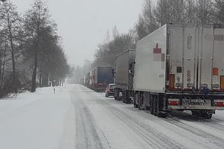 HORROR na podlaskich drogach. Ciężarówki blokują ruch. Nie mogą podjechać pod górkę [ZDJĘCIA]