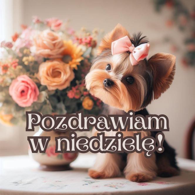 Dzień dobry w niedzielę! Fajne obrazki do wysłania znajomym