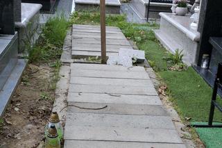 Janusz Rewiński - tutaj spocznie