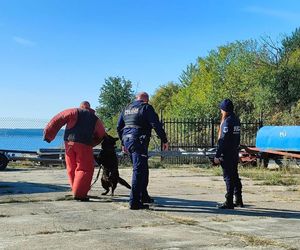 ćwiczenia nad Zalewem Sulejowskim