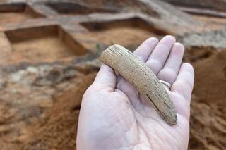 Wykopaliska u strażaków