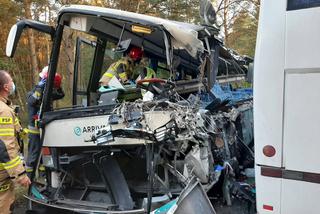 Dwa autobusy zderzyły się pod Dźwirzynem. Jakie były przyczyny wypadku? [ZDJĘCIA]