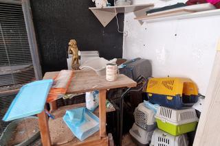 37 martwych zwierząt w siedzibie toruńskiej fundacji. Sprawie ma się przyjrzeć prokurator