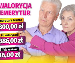 waloryzacja emerytur 3,73 proc