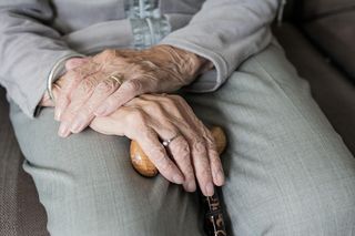Przełom w walce z chorobą Alzheimera? Nowe odkrycie naukowców z USA pomoże „odmłodzić” mózg