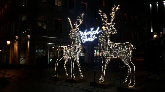 Dekoracje świąteczne w Bydgoszczy. SĄ NOWOŚCI! [WIDEO, ZDJĘCIA]