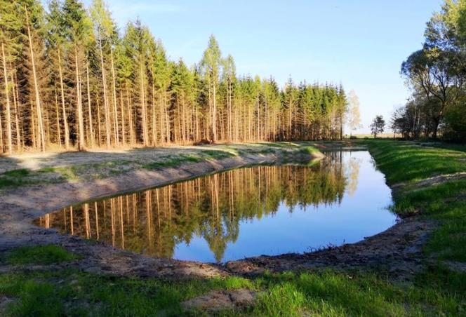 Nowe zbiorniki wodne w Podlaskiem. Pomogą walczyć ze zmianami klimatu [ZDJĘCIA]