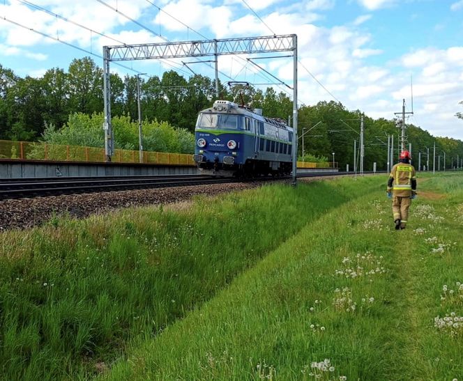 Zderzenie lokomotywy z busem pod Brzezinami. Fatalny wypadek na przejeździe kolejowym
