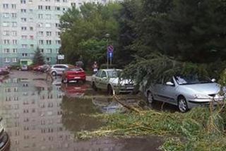 Skutki burzy w Rzeszowie