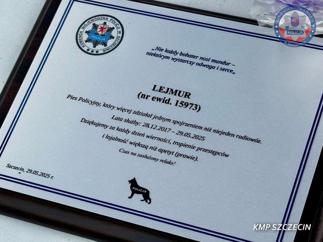 Wiernie służyli przez 10 lat. Kałam, Lejmur i Karzeł odeszli na zasłużoną emeryturę