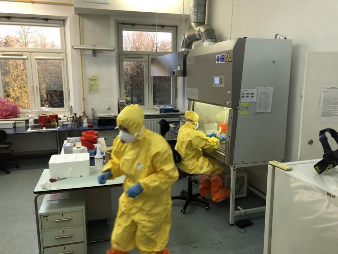 Testy na koronawirusa wreszcie w Białymstoku. Zobacz jak wygląda laboratorium [ZDJĘCIA]