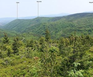 Magurka Radziechowska na zdjęciach