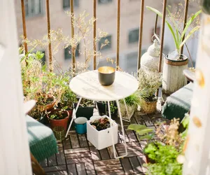 Planujesz założyć ogród lub zazielenić balkon? Sprawdź, od czego zacząć