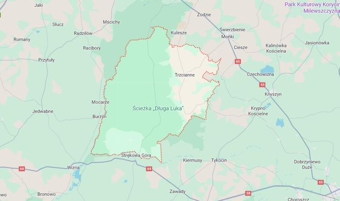 10. Trzcianne