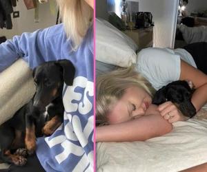 Ten zwierzak miał wyjątkową intuicję. Jego pani nie potrzebowała testu ciążowego