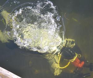 W Giżycku odbyło się podwodne sprzątanie portu. Niewiarygodne, co ludzie wyrzucają do jeziora! [ZDJĘCIA]
