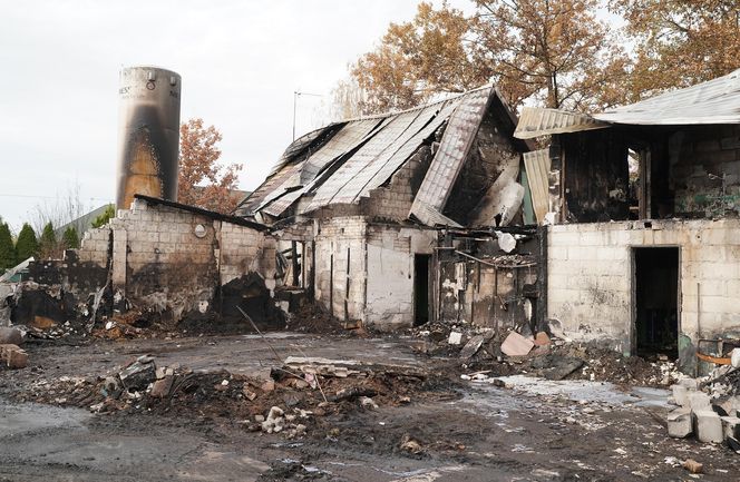 Koryciny. Pożar w Darach Natury. Znany w Polsce zakład przeżywa trudne chwile [ZDJĘCIA]