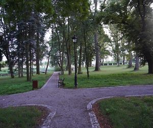 Park w gminie Mełgiew