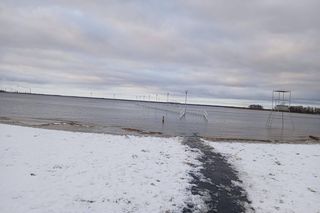 Cofka na Bałtyku. Stepnica
