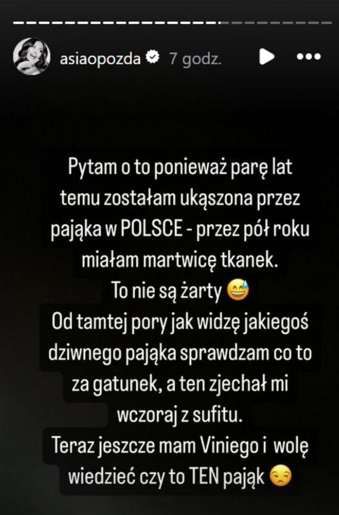 Joanna Opozda obawiała się pająka