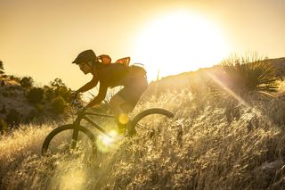 Garmin Rally 110 i Rally 210