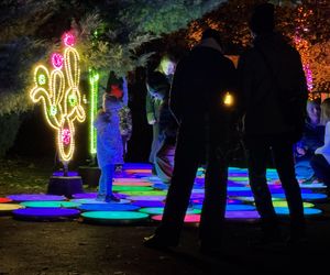 Garden of Lights we Wrocławiu