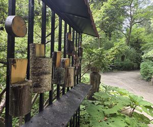 Letni spacer w zielonym sercu Bydgoszczy. Ogród Botaniczny UKW zaprasza!