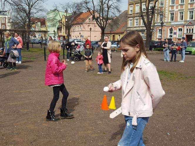 Zające chodzące i z czekolady w centrum Leszna