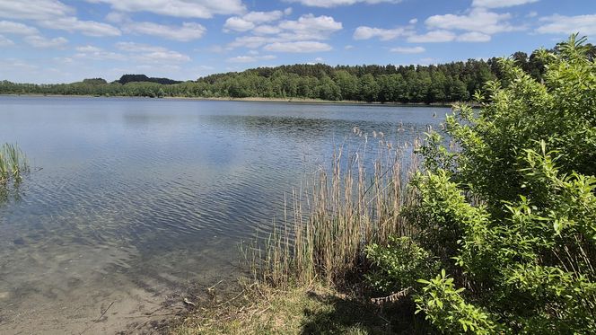 To jezioro w Olsztynie ma niezwykle czystą wodę. Jest kilka dzikich plaż, które świecą pustkami