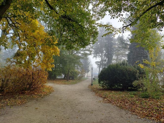 Zamojski Park jesienią