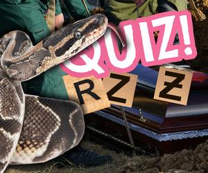 QUIZ. Ż czy rz? Tylko 2 odp.! Nie licz na komplet
