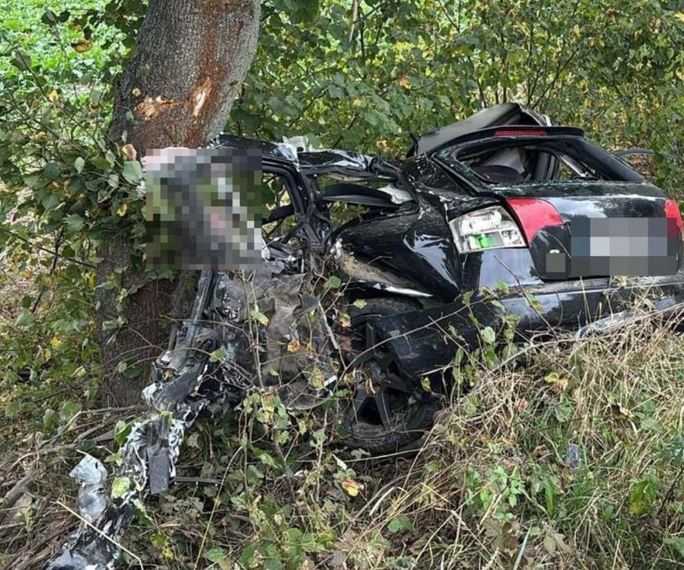 Audi rozstrzaskało się o drzewo. Nie żyje 24-latek