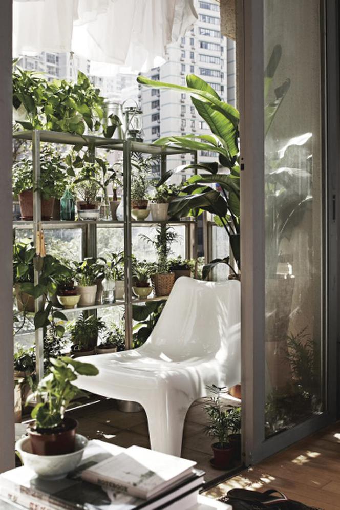 Mały balkon w bloku skąpany w zieleni