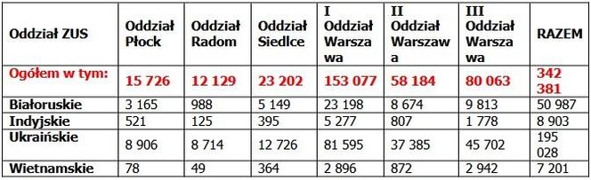 Ilu cudzoziemców pracuje na Mazowszu?