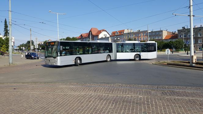 Pierwszy kurs autobusu przegubowego w Grudziądzu