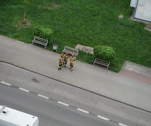 W jednym z mieszkań na osiedlu Tysiąclecia znaleziono pocisk